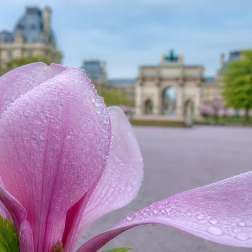 L’arco de triunfo del carrusel : un arc discret au cœur du Louvre et des Tuileries