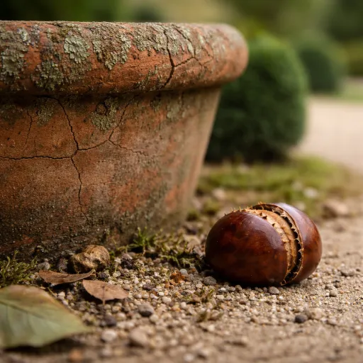 Parcs et jardins en Île de France : escapades de nature aux portes de Paris