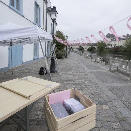 Voyager en Essonne : vivre l’expérience d’octobre rose à Mennecy