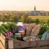 Voyage gourmand au jardin de Cocagne Saint Faron à Meaux, entre Marne, Brie et insertion solidaire